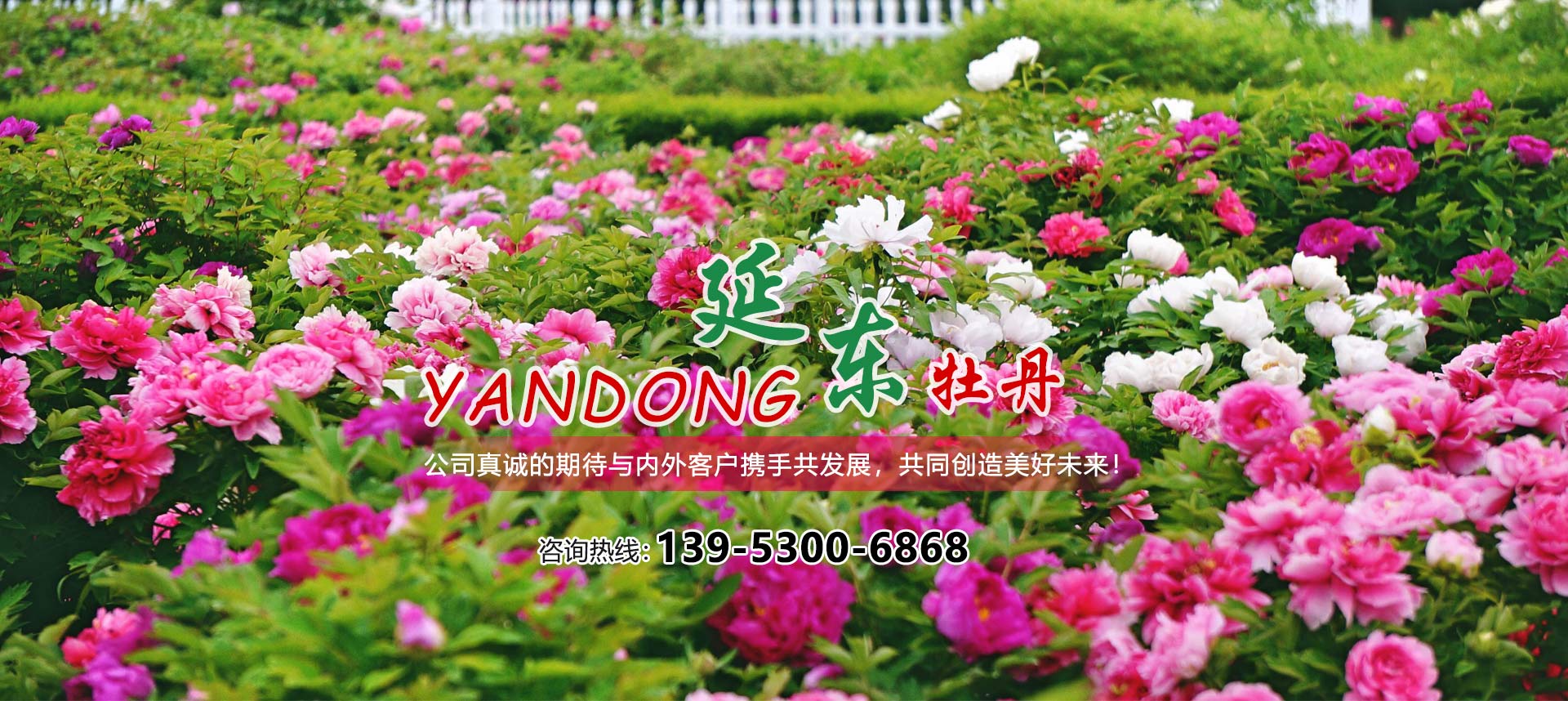 公司簡介